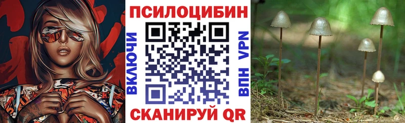 мега ССЫЛКА  Новая Усмань  Галлюциногенные грибы прущие грибы 