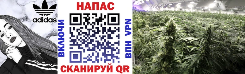 где продают   Новая Усмань  Канабис SATIVA & INDICA 